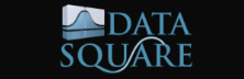 Data Square - Top Marketing Attribution and Consulting Services Data Square